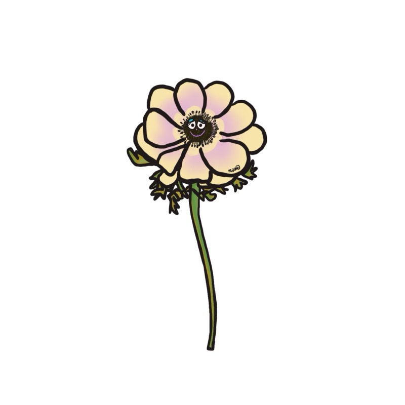 Handgetekende bloemenillustratie door Marretjes